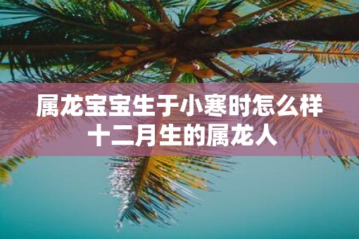 属龙宝宝生于小寒时怎么样 十二月生的属龙人