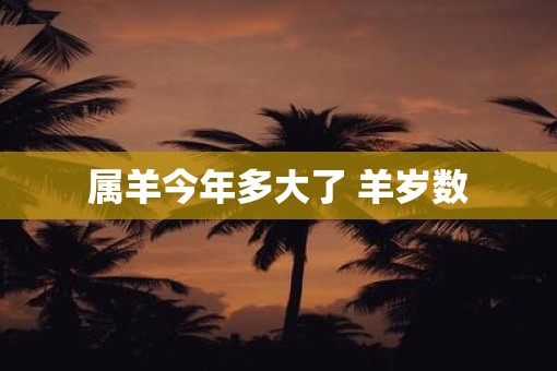属羊今年多大了 羊岁数