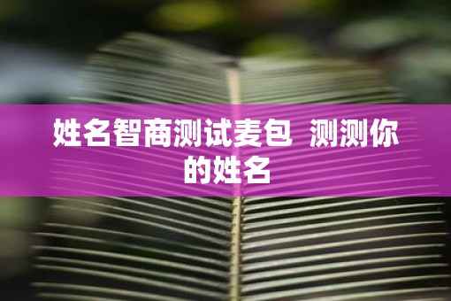 姓名智商测试麦包  测测你的姓名