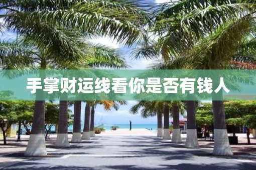 手掌财运线看你是否有钱人