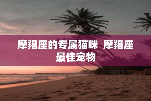 摩羯座的专属猫咪  摩羯座最佳宠物