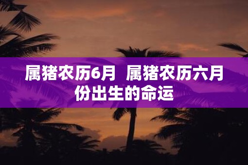 属猪农历6月  属猪农历六月份出生的命运