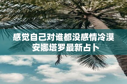 感觉自己对谁都没感情冷漠  安娜塔罗最新占卜