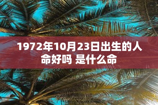 1972年10月23日出生的人命好吗 是什么命