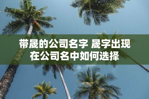 带晟的公司名字 晟字出现在公司名中如何选择