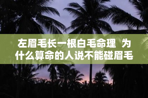 左眉毛长一根白毛命理  为什么算命的人说不能碰眉毛