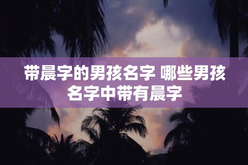 带晨字的男孩名字 哪些男孩名字中带有晨字