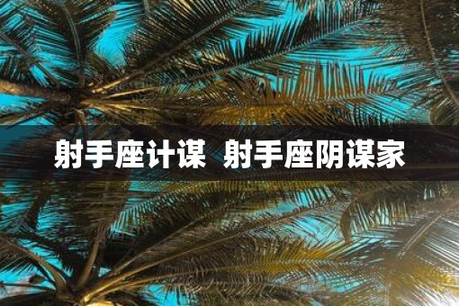 射手座计谋  射手座阴谋家