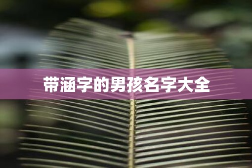 带涵字的男孩名字大全