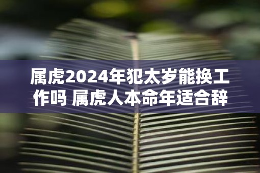 属虎2025年犯太岁能换工作吗 属虎人本命年适合辞职吗