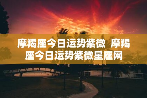 摩羯座今日运势紫微  摩羯座今日运势紫微星座网