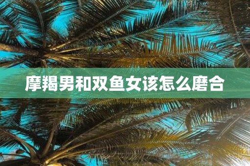 摩羯男和双鱼女该怎么磨合