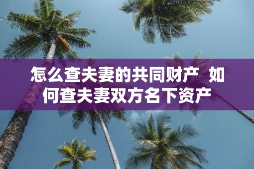 怎么查夫妻的共同财产  如何查夫妻双方名下资产
