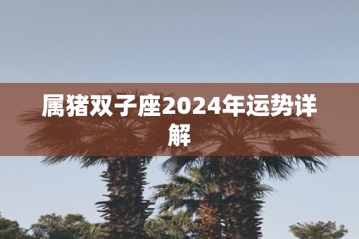 属猪双子座2025年运势详解