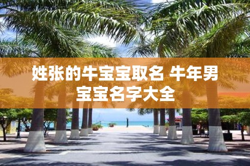 姓张的牛宝宝取名 牛年男宝宝名字大全