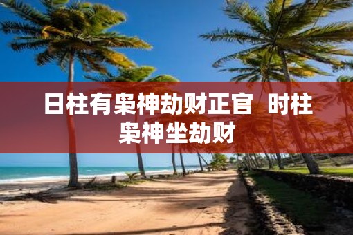 日柱有枭神劫财正官  时柱枭神坐劫财