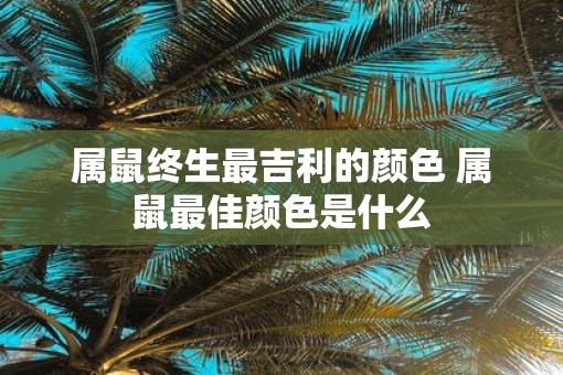 属鼠终生最吉利的颜色 属鼠最佳颜色是什么
