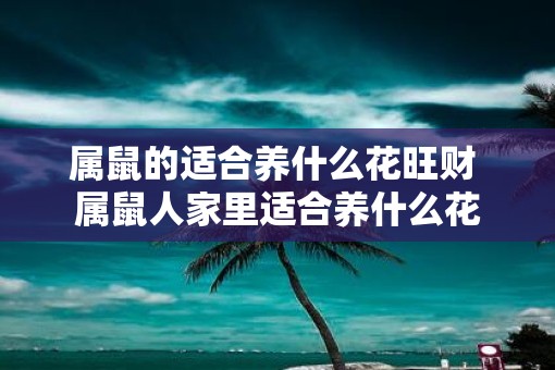 属鼠的适合养什么花旺财 属鼠人家里适合养什么花