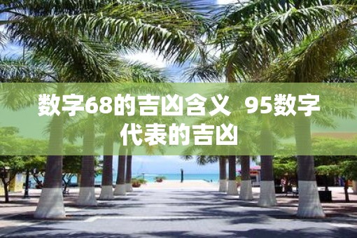 数字68的吉凶含义  95数字代表的吉凶
