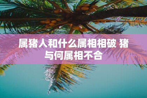 属猪人和什么属相相破 猪与何属相不合