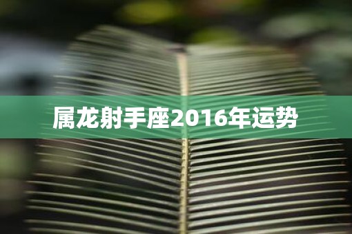 属龙射手座2016年运势