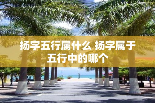 扬字五行属什么 扬字属于五行中的哪个