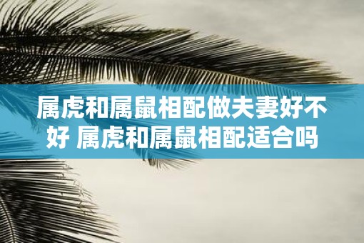 属虎和属鼠相配做夫妻好不好 属虎和属鼠相配适合吗