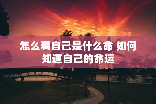 怎么看自己是什么命 如何知道自己的命运