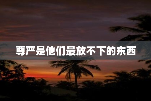 尊严是他们最放不下的东西