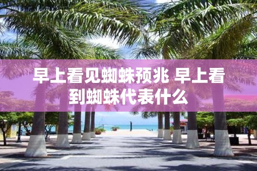 早上看见蜘蛛预兆 早上看到蜘蛛代表什么