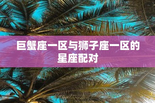 巨蟹座一区与狮子座一区的星座配对