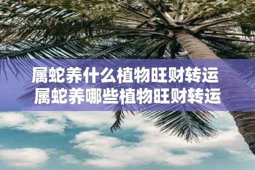属蛇养什么植物旺财转运 属蛇养哪些植物旺财转运