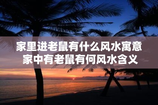 家里进老鼠有什么风水寓意 家中有老鼠有何风水含义