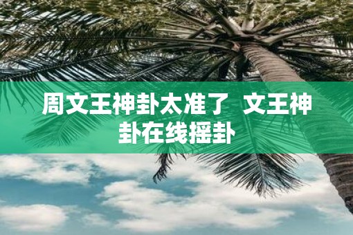 周文王神卦太准了  文王神卦在线摇卦