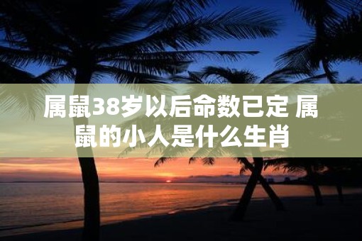 属鼠38岁以后命数已定 属鼠的小人是什么生肖