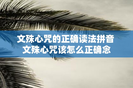 文殊心咒的正确读法拼音 文殊心咒该怎么正确念