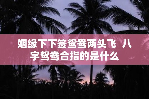 姻缘下下签鸳鸯两头飞  八字鸳鸯合指的是什么