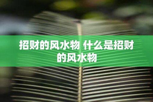 招财的风水物 什么是招财的风水物