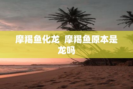 摩羯鱼化龙  摩羯鱼原本是龙吗