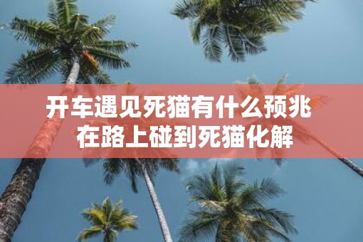 开车遇见死猫有什么预兆  在路上碰到死猫化解