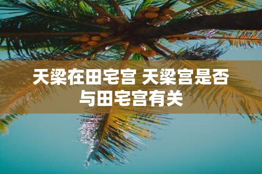 天梁在田宅宫 天梁宫是否与田宅宫有关