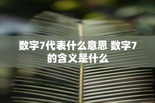 数字7代表什么意思 数字7的含义是什么