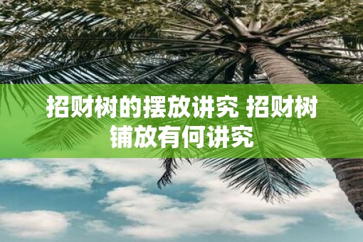 招财树的摆放讲究 招财树铺放有何讲究