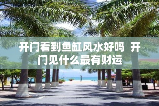开门看到鱼缸风水好吗  开门见什么最有财运