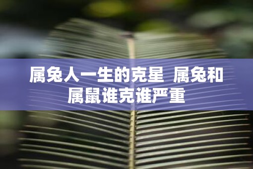 属兔人一生的克星  属兔和属鼠谁克谁严重
