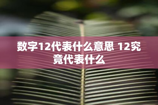 数字12代表什么意思 12究竟代表什么