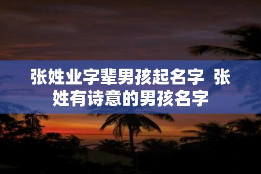 张姓业字辈男孩起名字  张姓有诗意的男孩名字