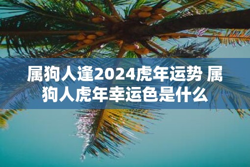 属狗人逢2025虎年运势 属狗人虎年幸运色是什么