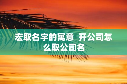 宏取名字的寓意  开公司怎么取公司名