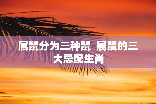 属鼠分为三种鼠  属鼠的三大忌配生肖